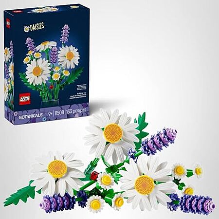 LEGO Botanicals Daisies (11508) — Is the $10 Deal Worth It?