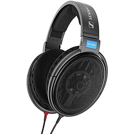 Sennheiser HD 600 Open-Back Dynamic Wired Headphones